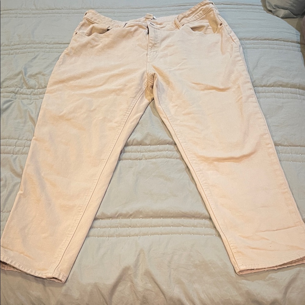 H & M beige pant